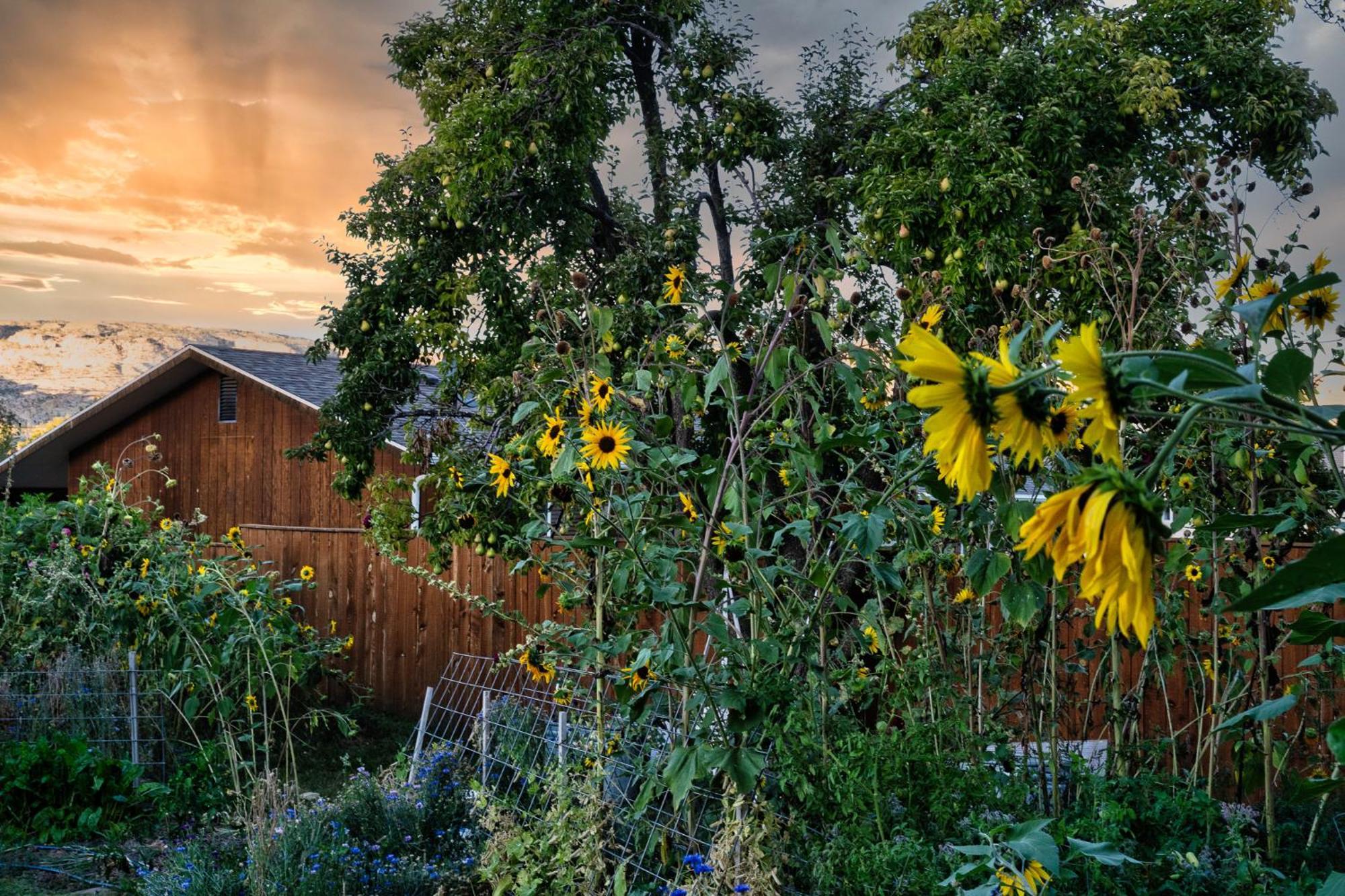 The Loubird Inn Escalante Exterior foto